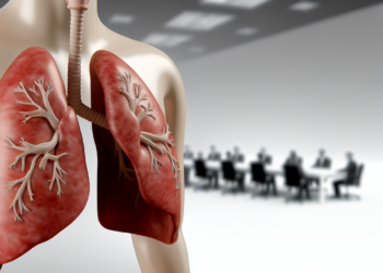 Anatomy of the Lungs: Key Components of the Human Respiratory System