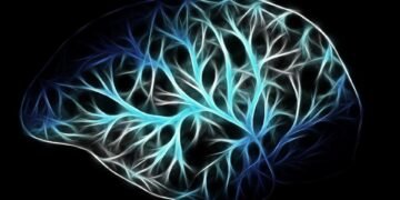 how the human brain processes information