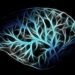 how the human brain processes information