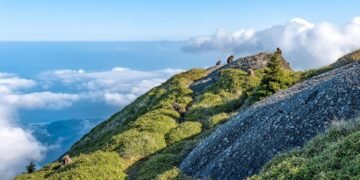 difference between viruses and bacteria