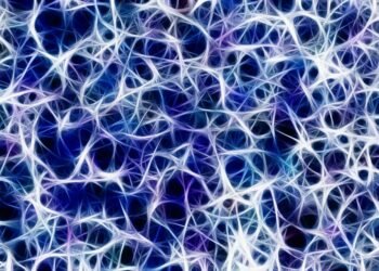 how the nervous system controls