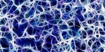 how the nervous system controls