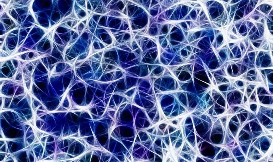 how the nervous system controls