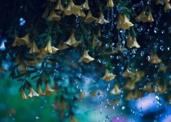 importance of hydration for overall health