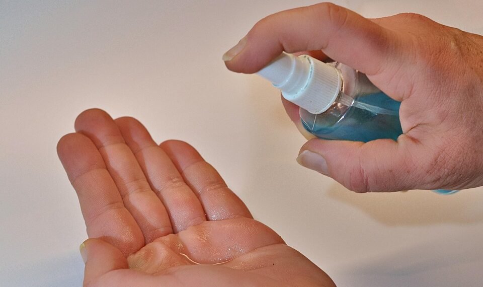 difference between viruses and bacteria