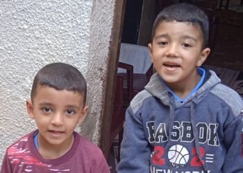 Israeli Drone Strike in Gaza Claims Lives of Two Brothers, Reports Confirm