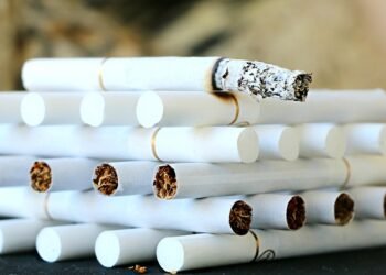 effects of smoking on human health