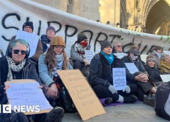 Palestine Action Compared to Suffragettes in Court Hearing