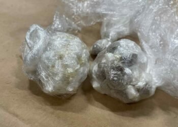 Police Discover Illegal Drug Stash After Tracking E-Bike with Child on Board