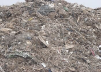 Second Brother Returns Profits from Illegal Waste Operations