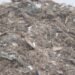 Second Brother Returns Profits from Illegal Waste Operations