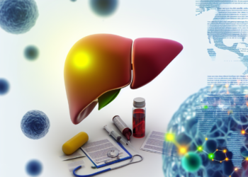 The Anatomy of Detoxification: How the Liver Purifies Our Bodies