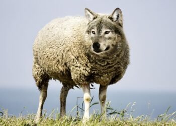 behind the scenes of practical effects in classics