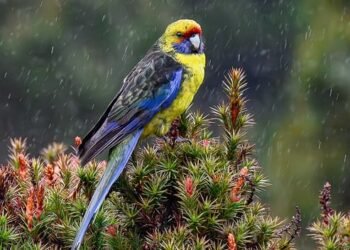 The Art of Textile Design: Understanding How Patterns are Created and Used in Fashion History