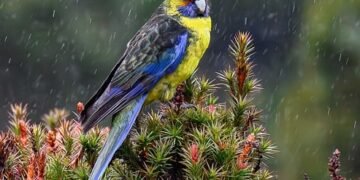 The Art of Textile Design: Understanding How Patterns are Created and Used in Fashion History