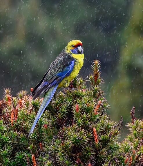 The Art of Textile Design: Understanding How Patterns are Created and Used in Fashion History