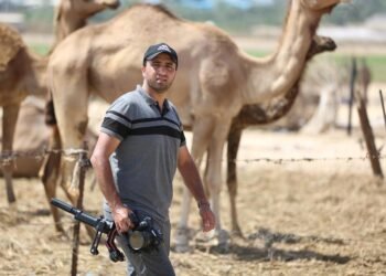 history of documentary filmmaking