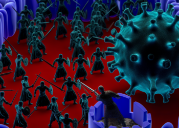 The Body's Defense Mechanisms: How the Immune System Fights Infections