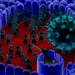 The Body's Defense Mechanisms: How the Immune System Fights Infections