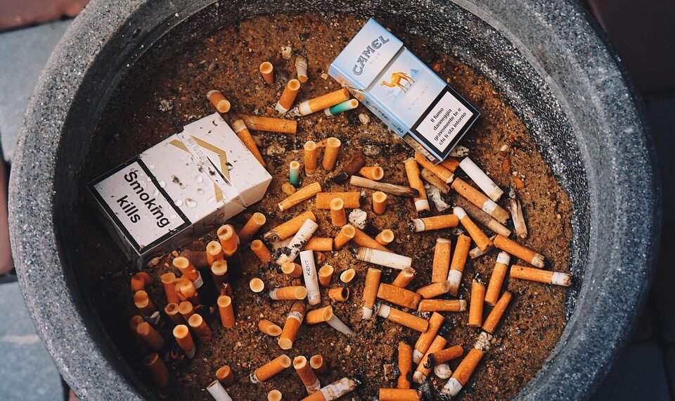 effects of smoking on human health