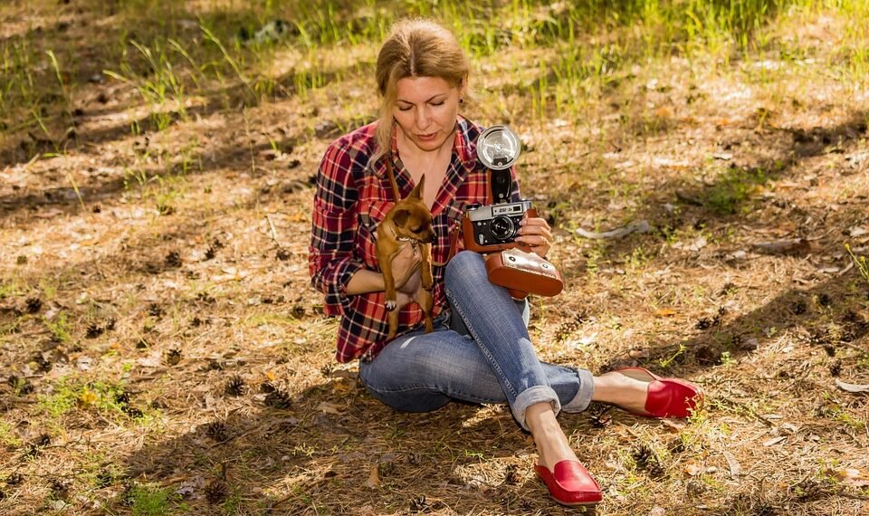 intro to film genres and subgenres