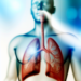 The Journey of Air: How the Human Respiratory System Works