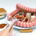 The Journey of Food: How the Human Digestive System Works