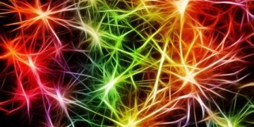 how the nervous system controls