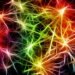 how the nervous system controls