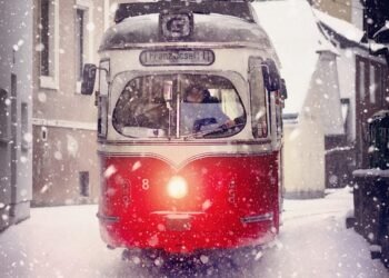 how documentaries influence public perception