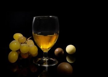 introduction to human digestive system