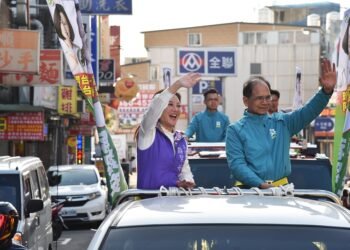 how political parties function in a democracy