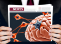 The Role of Synapses in Information Processing in the Brain