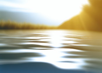 The Science of Relaxation: Key Stress Management Techniques You Should Know