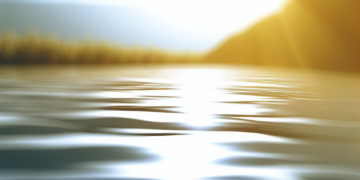 The Science of Relaxation: Key Stress Management Techniques You Should Know