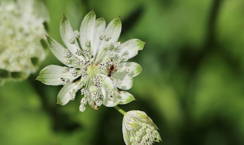 role of producers in shaping major films