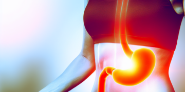 Understanding Body Metabolism: A Comprehensive Guide to Energy Production