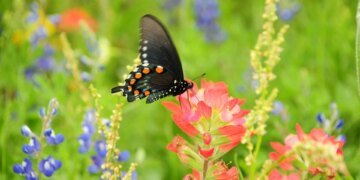 Understanding Data Encryption: A Guide to Protecting Your Digital Information