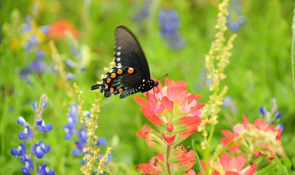 Understanding Data Encryption: A Guide to Protecting Your Digital Information