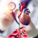 Understanding the Cardiovascular System: An Overview of Its Structure and Function