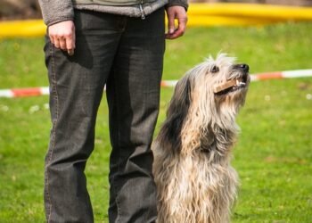 basics of sports psychology for beginners