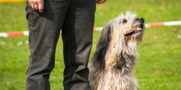 basics of sports psychology for beginners