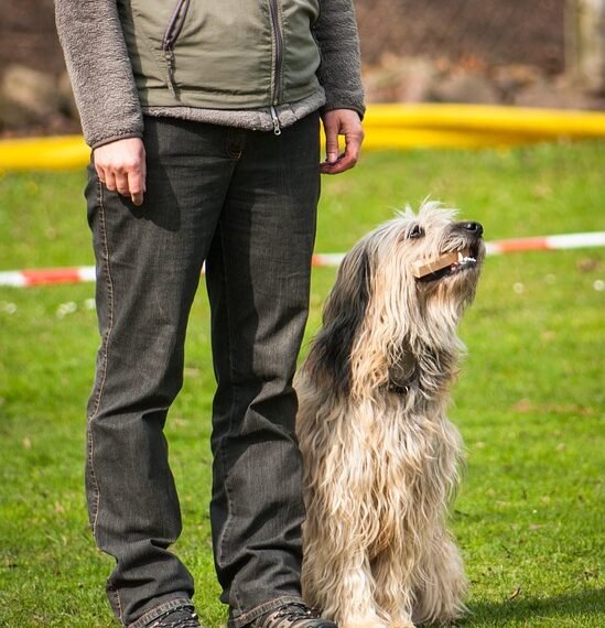 basics of sports psychology for beginners