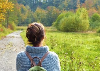 how human immune system works scientifically