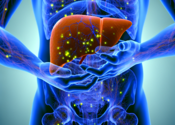 Understanding the Liver: Its Crucial Role in Detoxification Processes