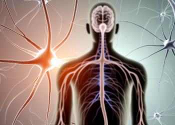 Understanding the Nervous System: The Body's Command Center for Function and Response