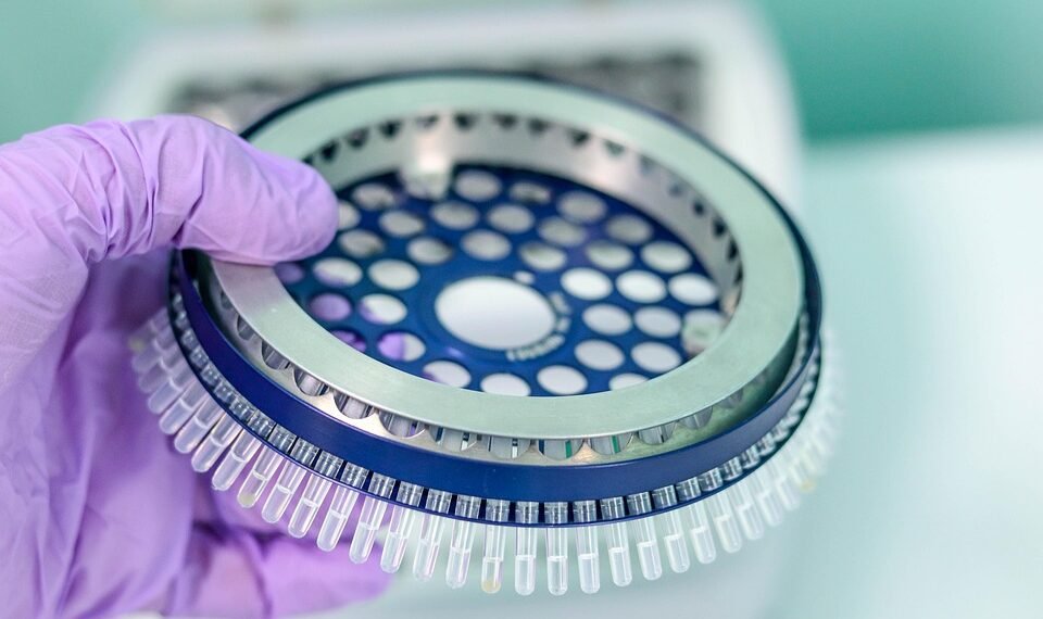 introduction to the scientific method