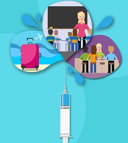 how vaccines support immunity