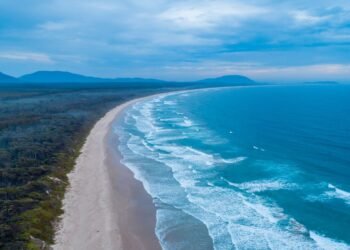 Woman Killed and Man Injured in Shark Attack Off New South Wales Coast