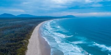 Woman Killed and Man Injured in Shark Attack Off New South Wales Coast